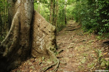 wayjeff-stjohn-3-003